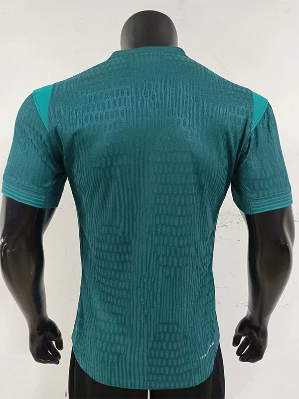 25-26 Nigeria Away Player Version Soccer Jersey