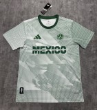 2026 Mexico World Cup Culture Promotion Green Fans Training shirts