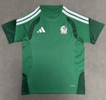 25-26 Mexico Green Special Edition Fans Training shirts