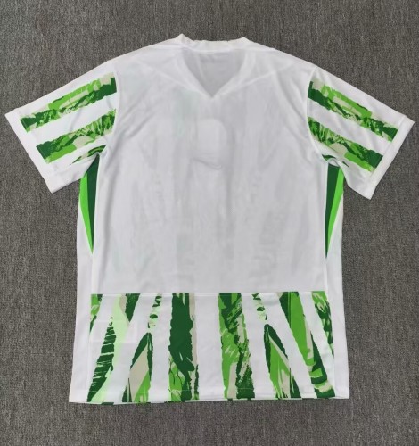 25-26 Nigeria Home Fans Soccer Jersey