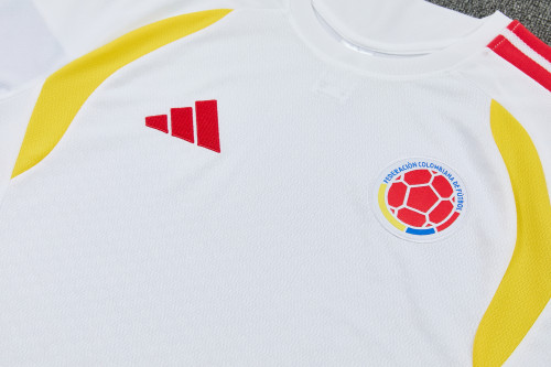 26-27 Colombia High Quality Training Short Suit