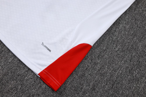 26-27 Germany High Quality Training Short Suit