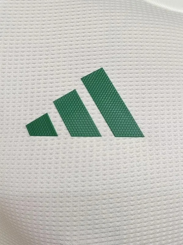 25-26 Algeria Light Green Player Version Training shirts