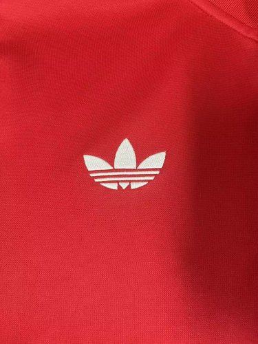 2026 Wales High Quality Jacket Tracksuit