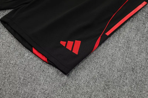 25-26 LIV High Quality Training Short Suit