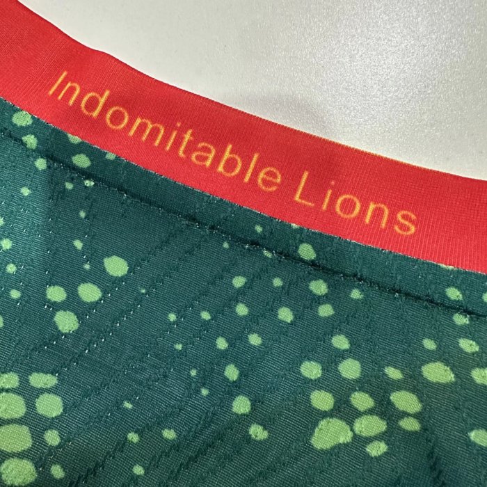 25-26 Cameroon Home Player Soccer Jersey