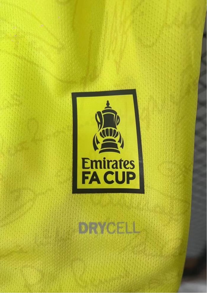 25-26 Southampton 50th Anniversary Commemorative Edition Fans Soccer Jersey