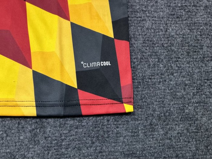 2026 Germany Training shirts