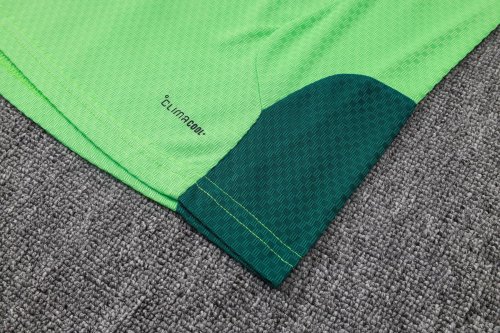 2026 Mexico Green High Quality Player Version Training Short Suit (球员套装)