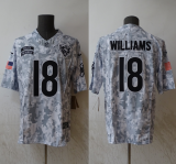 2024 NFL Chicago Bears New Pattern Jersey