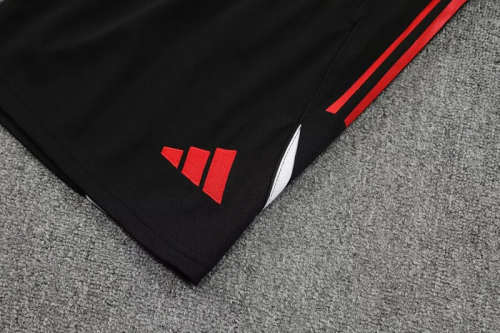 25-26 LIV High Quality Training Short Suit