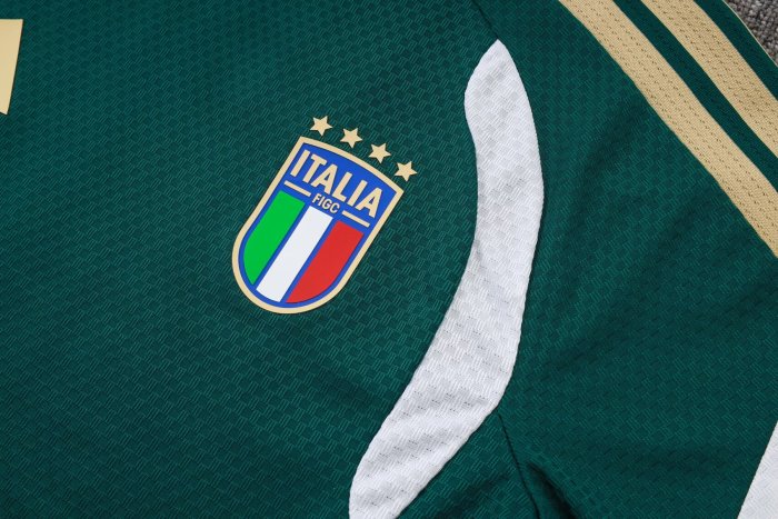2026 Italy Green High Quality Player Version Training Short Suit (球员套装)