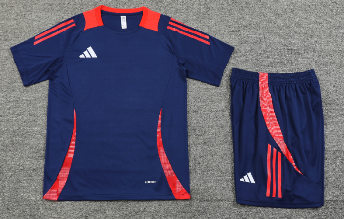 2024 AD Royal blue Training Short Suit