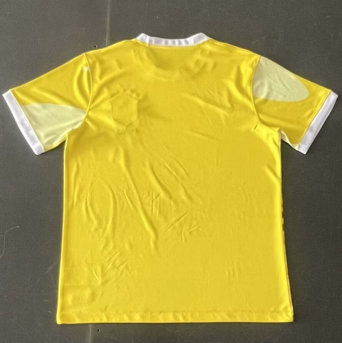 2024 Brazil Special Edition Fans Soccer Jersey
