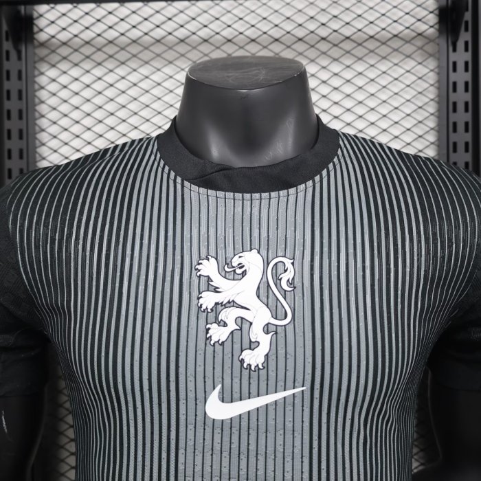 25-26 Netherlands Black Special Edition Player Version Soccer Jersey