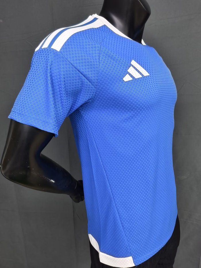 2026 AD Blue Player Version Training shirts