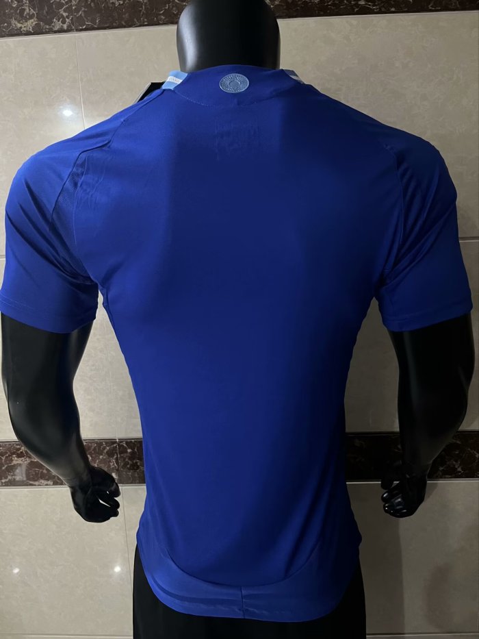 2024 Argentina Away Player Version Soccer Jersey