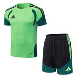 2026 AD Green High Quality Player Version Training Short Suit (球员套装)