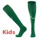 25-26 Dortmund Green Kids Socks(儿童)