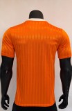 2025 AD Casual Orange Player Version Training shirts *三叶草