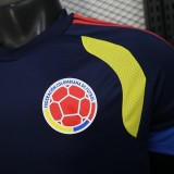2026 Player Colombia Training Kit World Cup Football Jersey Wholesale