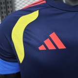 2026 Player Colombia Training Kit World Cup Football Jersey Wholesale