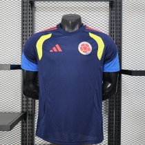 2026 Player Colombia Training Kit World Cup Football Jersey Wholesale
