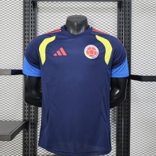 2026 Player Colombia Training Kit World Cup Football Jersey Wholesale