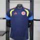 2026 Player Colombia Training Kit World Cup Football Jersey Wholesale