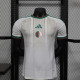 2026 Player Algeria Home Kit World Cup Football Jersey Wholesale