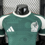 2026 Player Mexico Special Edition Kit World Cup Football Jersey Wholesale