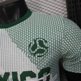 2026 Player Mexico World Cup Culture Promotion Kit Football Jersey Wholesale