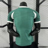 2026 Player Mexico Special Edition Kit World Cup Football Jersey Wholesale