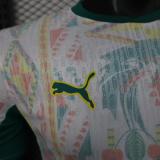 2026 Player Senegal Home Kit World Cup Football Jersey Wholesale