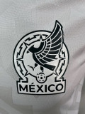 2026 Players Mexico Away Kit World Cup Long Sleeve Kit Football Jersey Wholesale