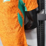 Cote d Ivoire 2026 World Cup home Player Version jersey