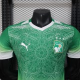 Cote d Ivoire 2026 World Cup Special Edition Green Jersey Player Version S-XXL