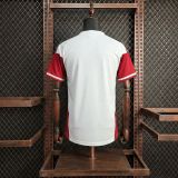 Germany 2026 White Training Jersey
