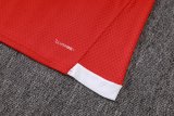 2026 AD Red High Quality Player Version Training Short Suit (球员套装)