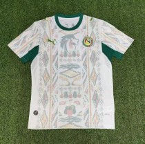 2026 Senegal Home Fans Soccer Jersey 2026 Senegal Home Fans Soccer Jersey