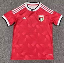26-27 United Arab Emirates Away Fans Soccer Jersey 26-27 United Arab Emirates Away Fans Soccer Jersey