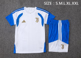 26-27 JUV High Quality Training Short Suit
