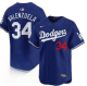 2026 MLB Los Angeles Dodgers New Pattern Jersey
