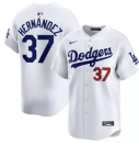 2026 MLB Los Angeles Dodgers New Pattern Jersey