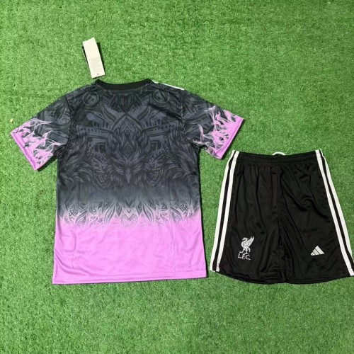 25/26 liverpool Special Edition kids kit
