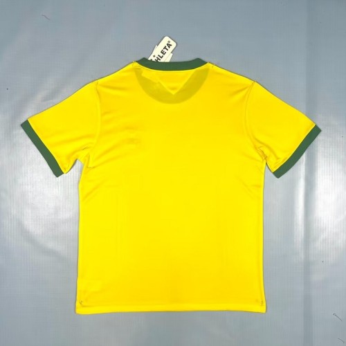 Retro brazil 1970 home