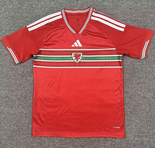25/26 Wales home football Jersey