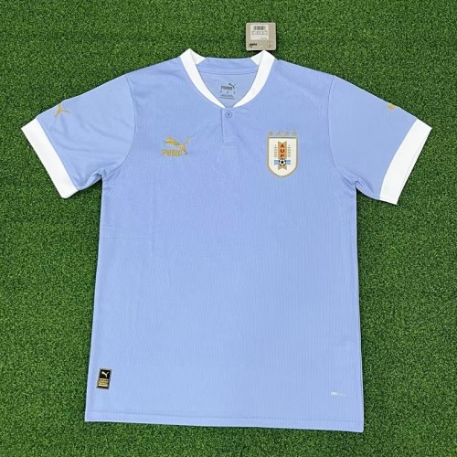 2022 Uruguay national team home football jersey S-4XL