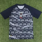 25-26 Austria Grey Black Training shirts