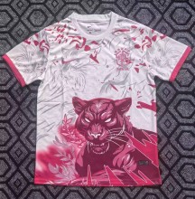25-26 Brazil Pink Special Edition Training shirts